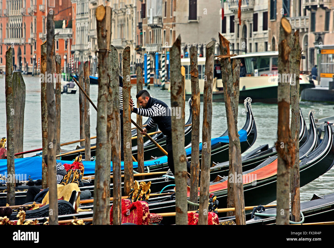 Gondoliere in den Canal Grande, Venedig, Veneto, Italien. Stockfoto