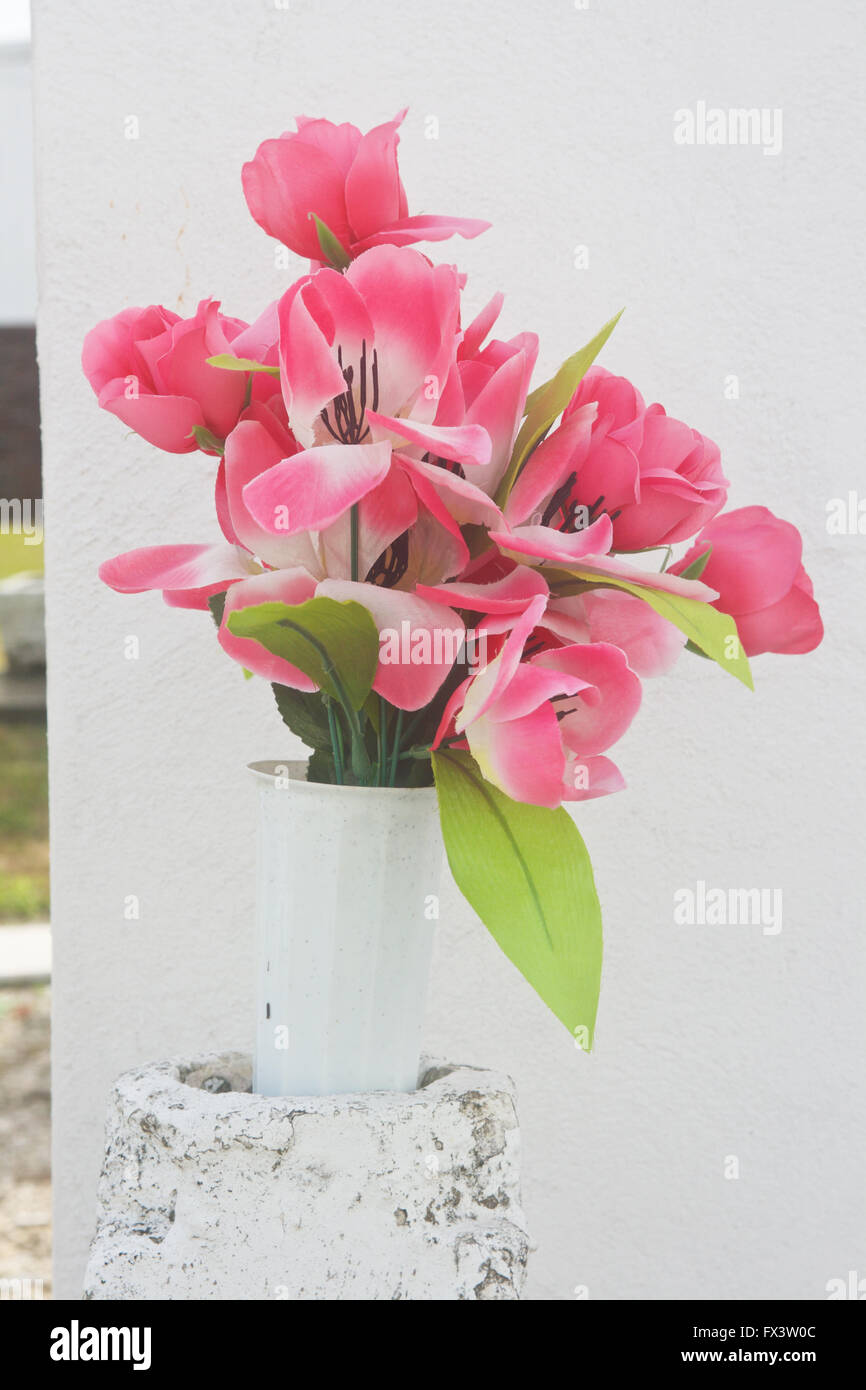 Rosa Blüten auf einem Friedhof, New Orleans, Louisiana. Stockfoto