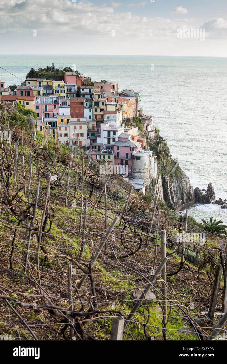 Manarola, Provinz La Spezia, Ligurien, Nordwest-Italien Stockfoto