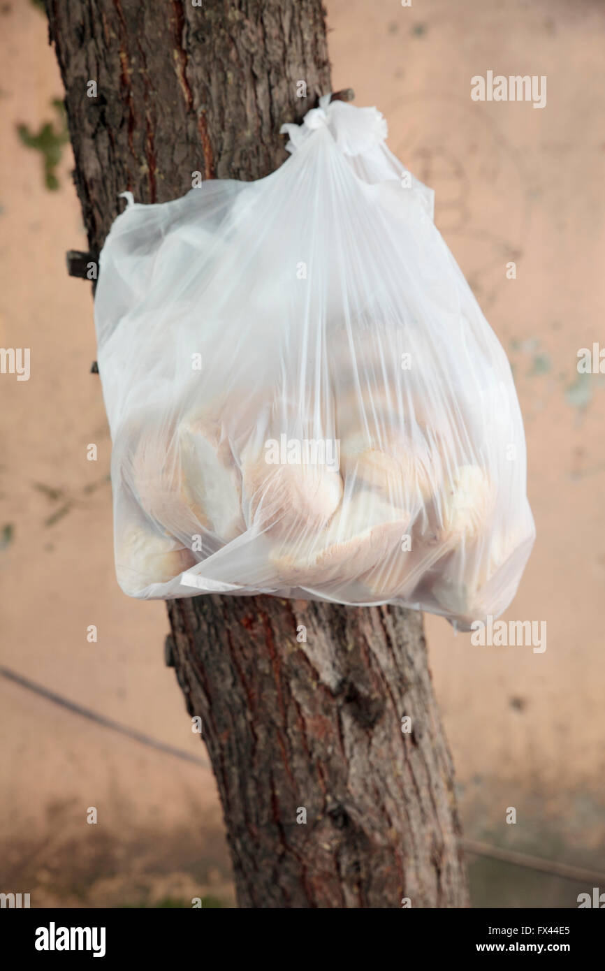 Brötchen in Tasche, Istanbul, Türkei Stockfoto