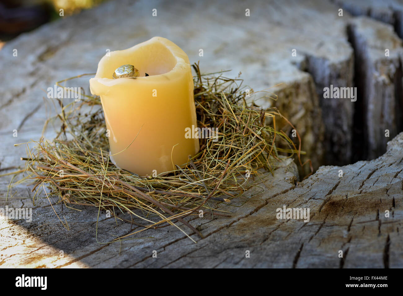 Kerze und getrocknete Grass an einem Baumstamm Stockfoto