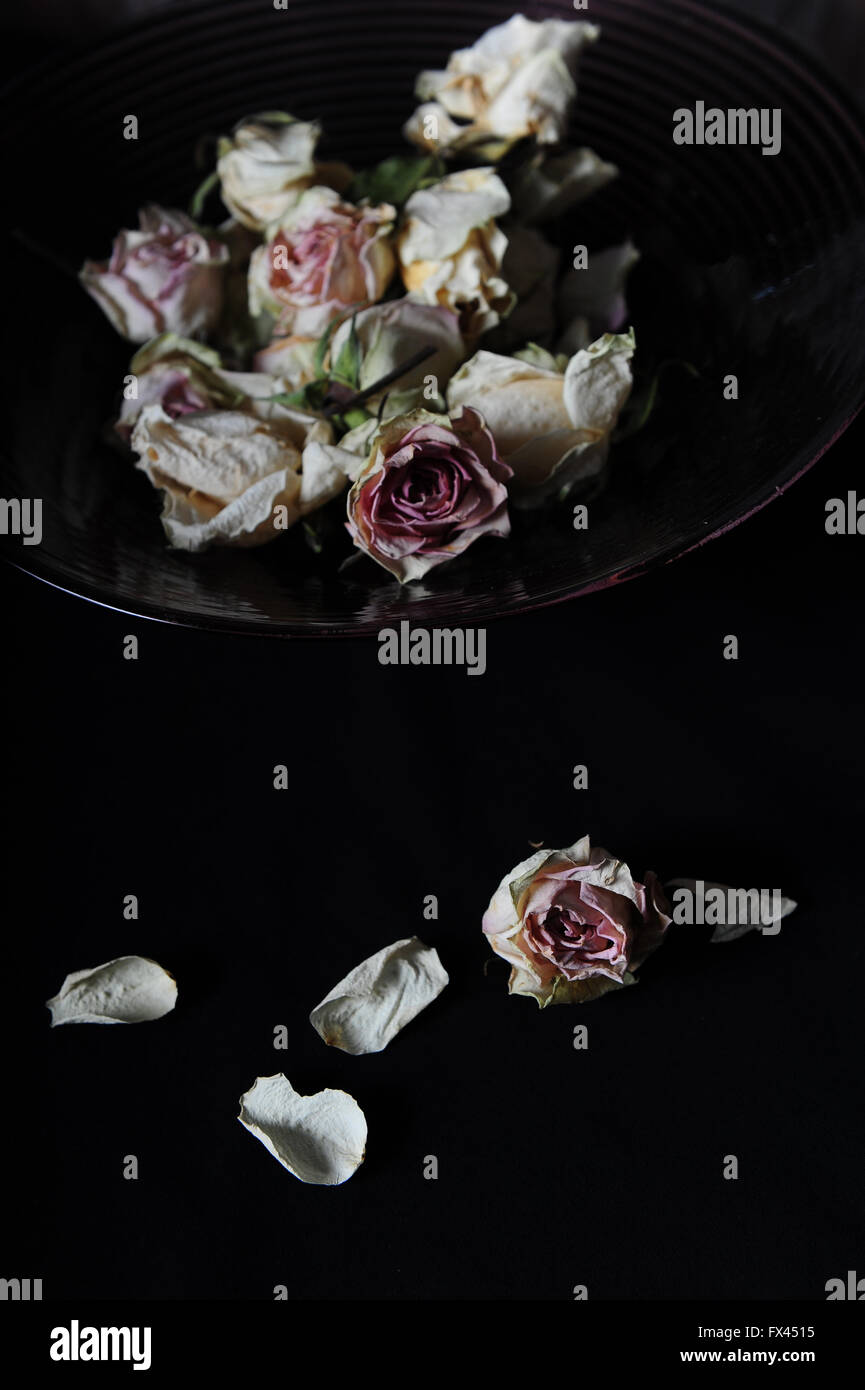 Verblasste Rosen in Schüssel geben. Schwarzem Hintergrund Stockfoto