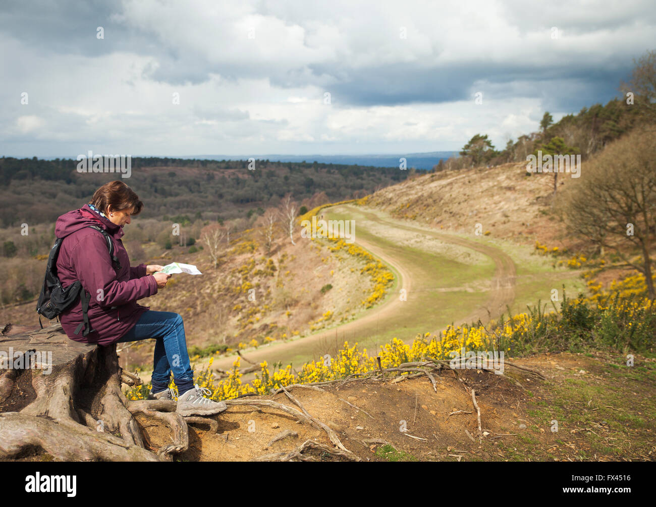 Devils Punchbowl, Hindhead. Stockfoto