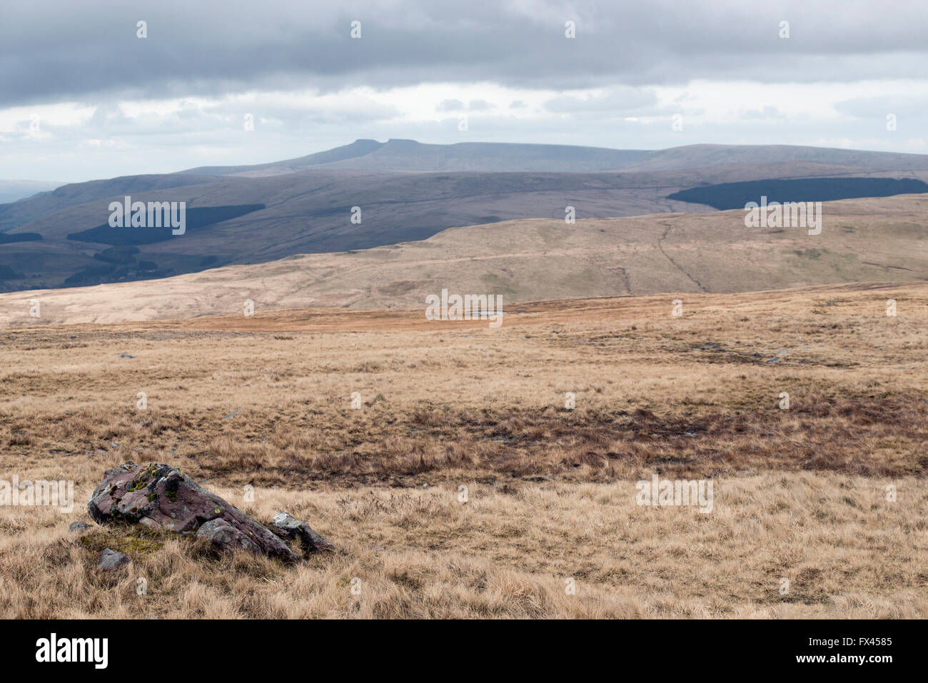 Blick auf Bwlch Cerrig Kämpfe mit fernen Gipfel, von in der Nähe von Llyn Y Fan Fawr Stockfoto