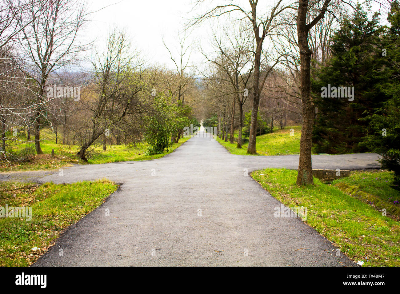 Road-Kreuzung im Park in Istanbul Stockfoto