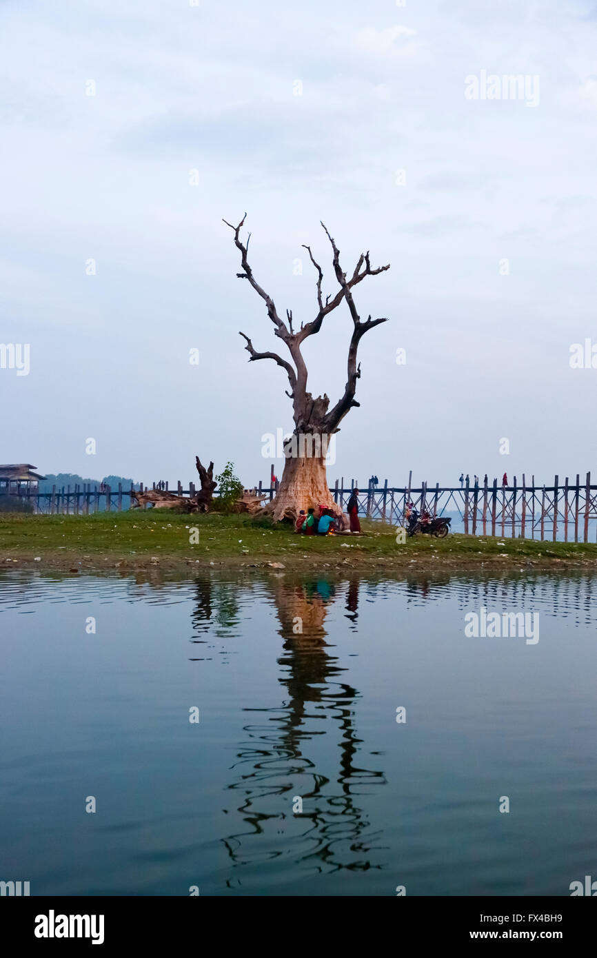 Toter Baum in der Dämmerung durch U Bein Brücke am Ufer des Taungthaman See, Amarapura, Mandalay, Myanmar (Burma) Stockfoto