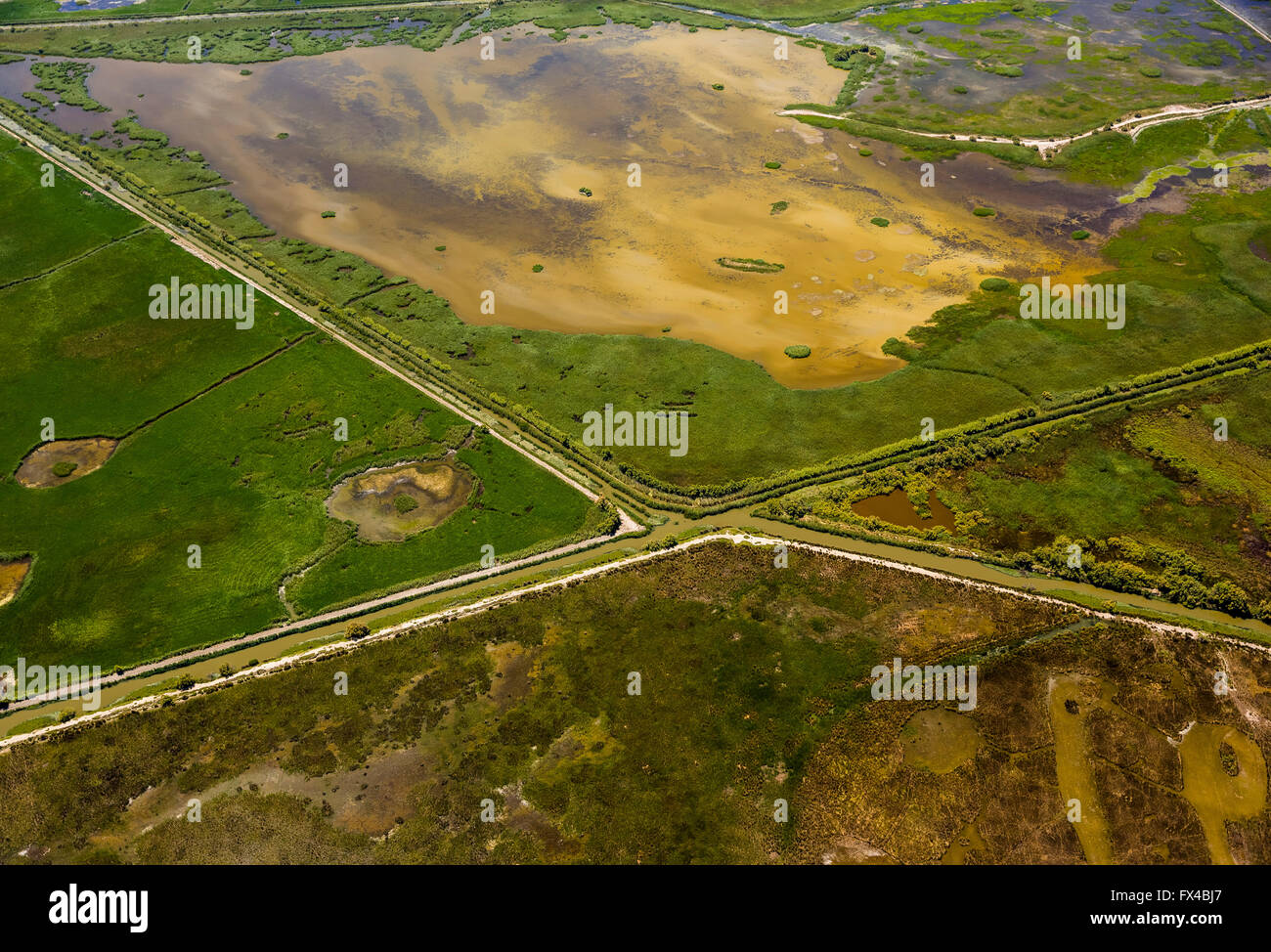 Luftaufnahme, nördlichen Camargue südlich von Arles, nördlich von Saintes-Maries-de-la-Mer, Arles, Frankreich, Provence-Alpes-Côte d ' Azur, Stockfoto
