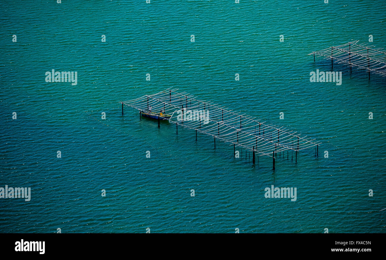 Luftbild, Austern- und Muschelzucht im Etang de Leucate, Lagune, Lagune Leucate, blaues Wasser, Zentrum Ostréicole, Leucat Stockfoto