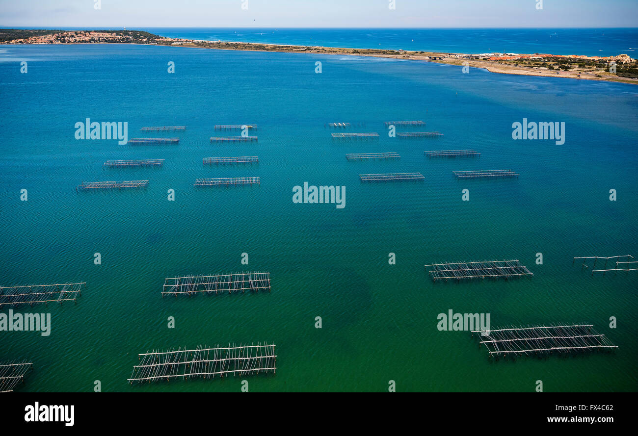 Luftbild, Austern- und Muschelzucht im Etang de Leucate, Lagune, Lagune Leucate, blaues Wasser, Zentrum Ostréicole, Leucat Stockfoto