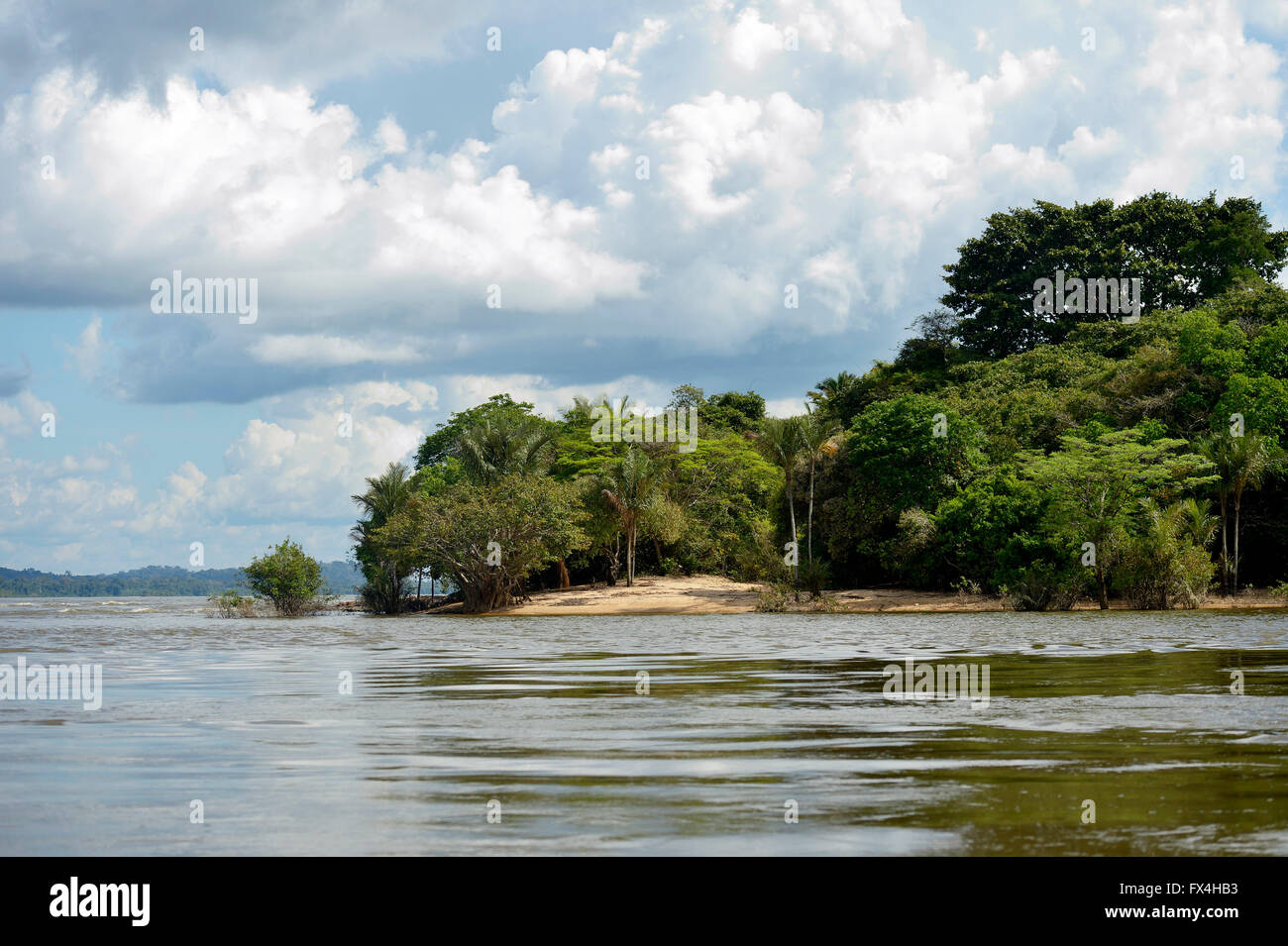 Tropischen Regenwaldes am Ufer des Rio Tapajos, Pimentel, Itaituba, Bundesstaat Pará, Brasilien Stockfoto