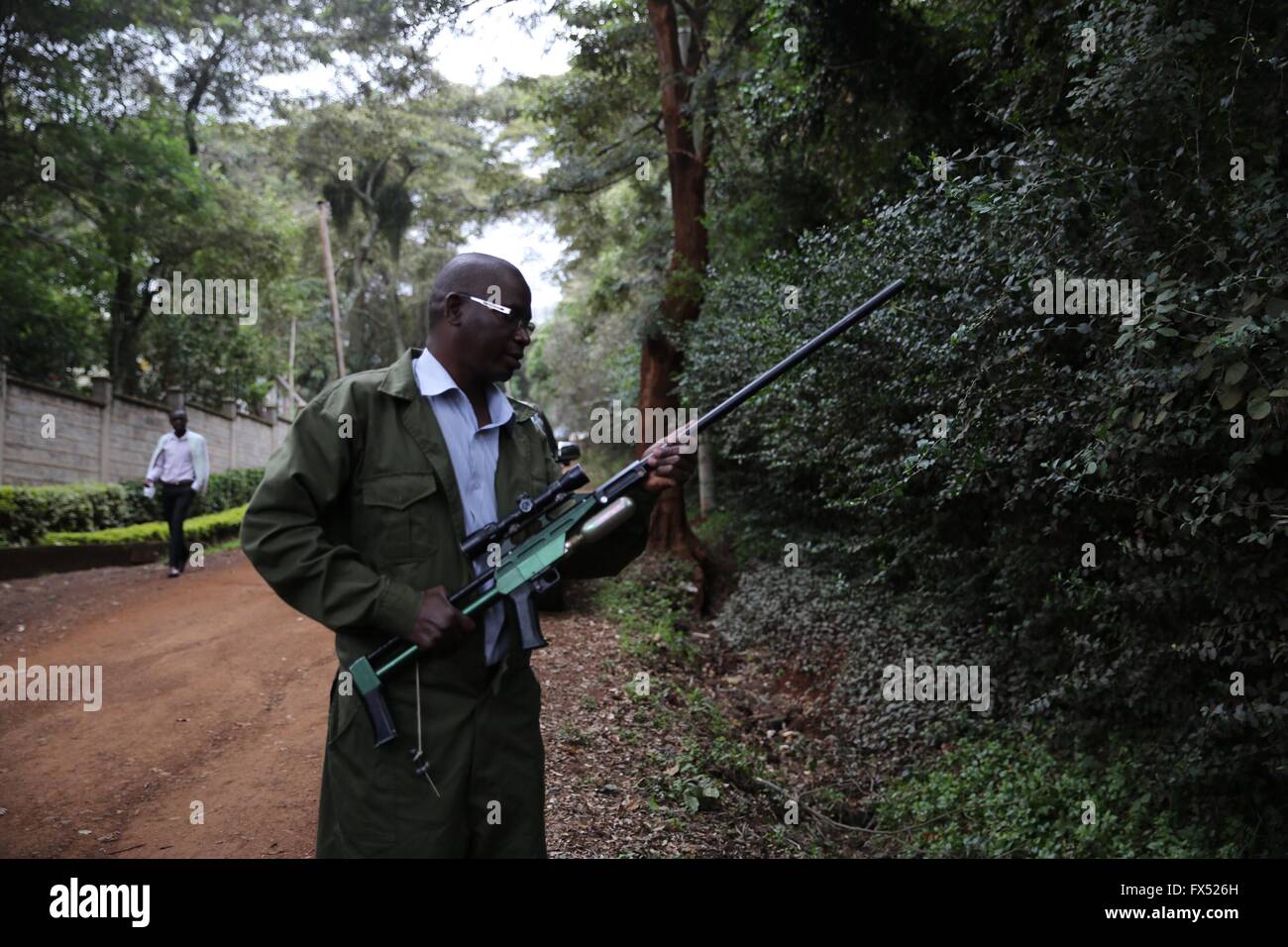 Nairobi, Kenia. 11. April 2016. Mitglied des Kenya Wildlife Service (KWS) prüft seine Betäubungsgewehr während einer Suche für einen Löwen bei großen in Nairobi, Kenia, 11. April 2016. Tatzedrucke wurden in einigen Bereichen von Nairobi, der Hauptstadt Kenias, entdeckt, wie ein Löwe im großen von den lokalen Medien berichtet wird. Bildnachweis: Pan Siwei/Xinhua/Alamy Live-Nachrichten Stockfoto