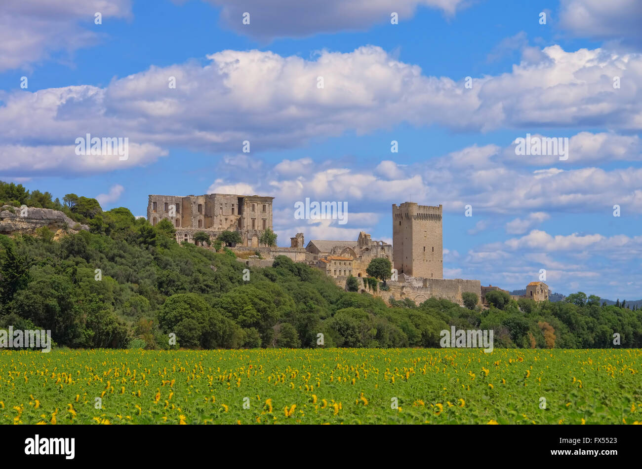 Abbaye de Montmajour 06 Stockfoto