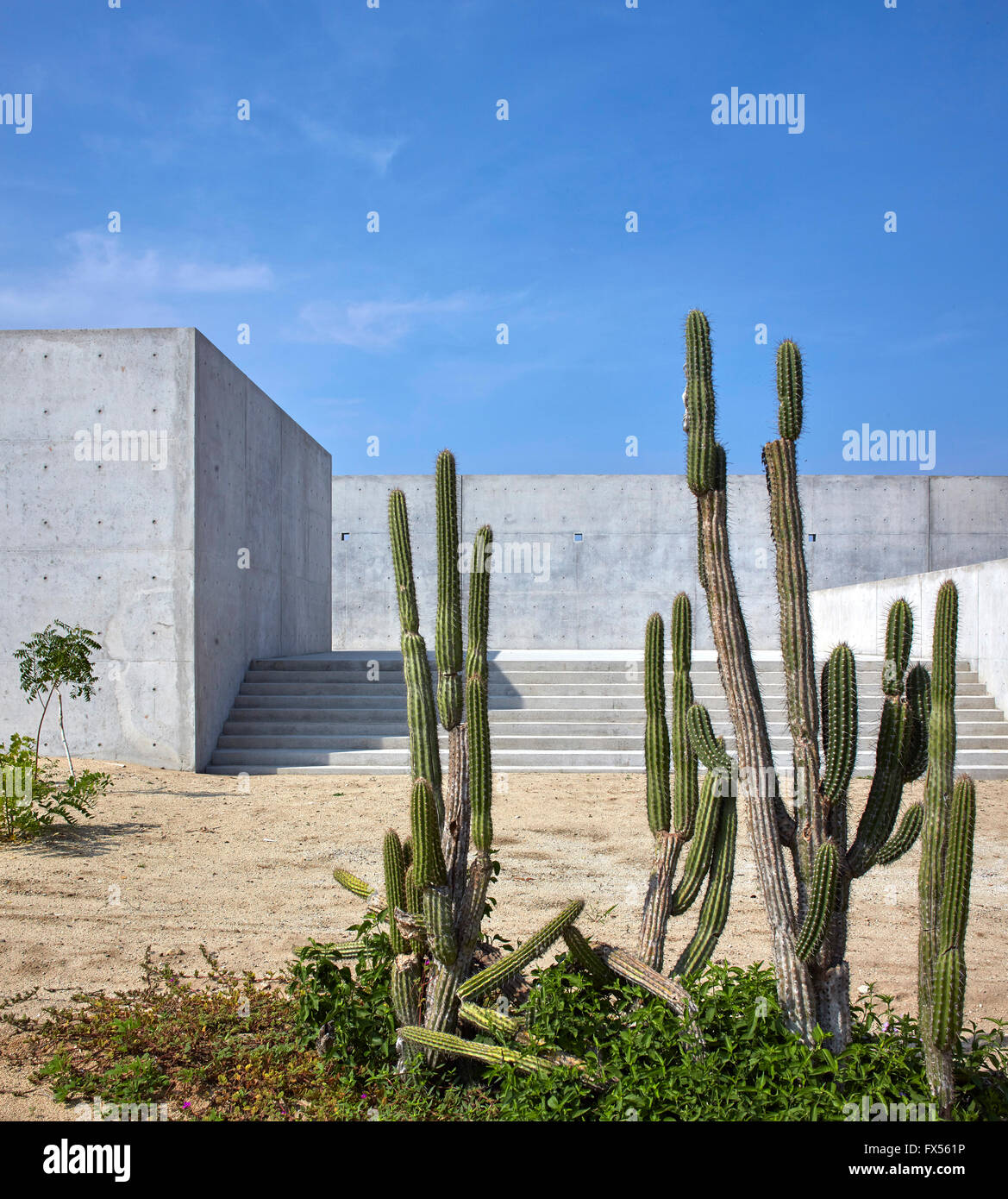 Konkrete Schritte zur Galerie. Casa Wabi, Puerto Escondido, Mexiko. Architekt: Tadao Ando, 2015. Stockfoto