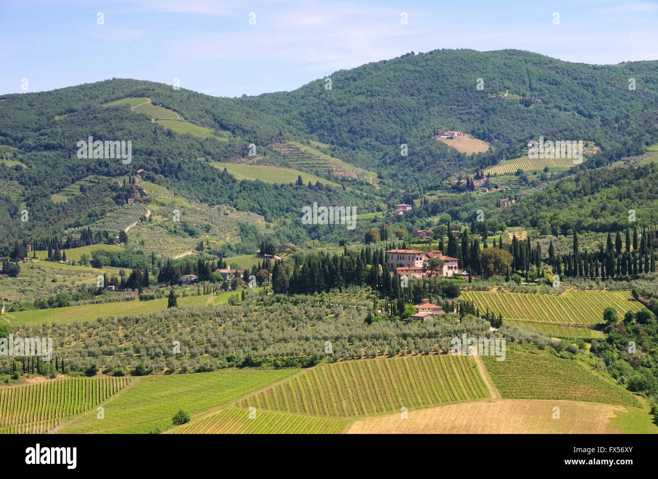 Toskana Weingut - Tuscany Weinberg 05 Stockfoto