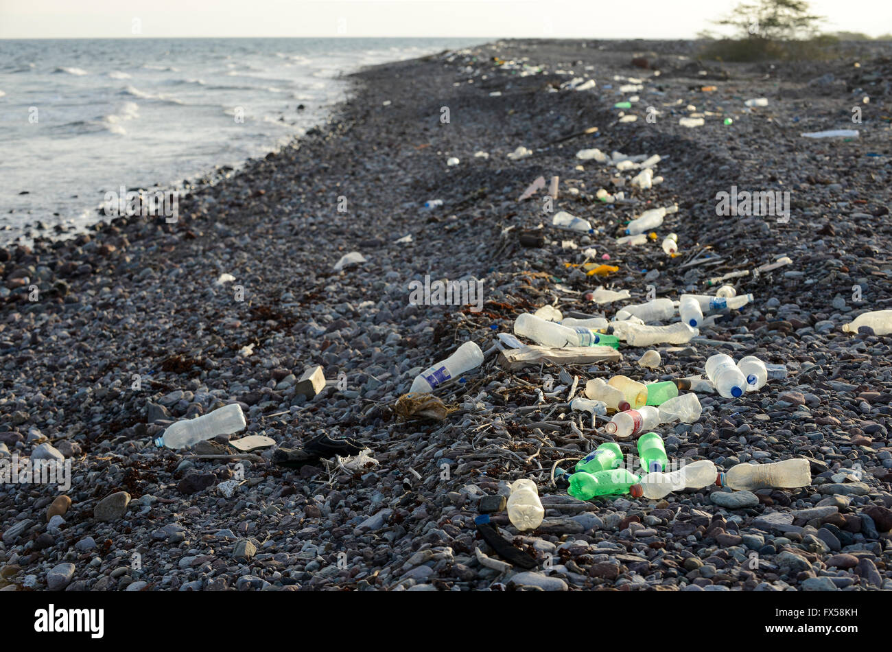 Dschibuti Tadjourah, Kunststoff-Flaschen am Ufer des Roten Meeres / LIEBESVERHÄLTNIS Tadjourah, Plastikmuell Im Meer, Rotes Meer Stockfoto