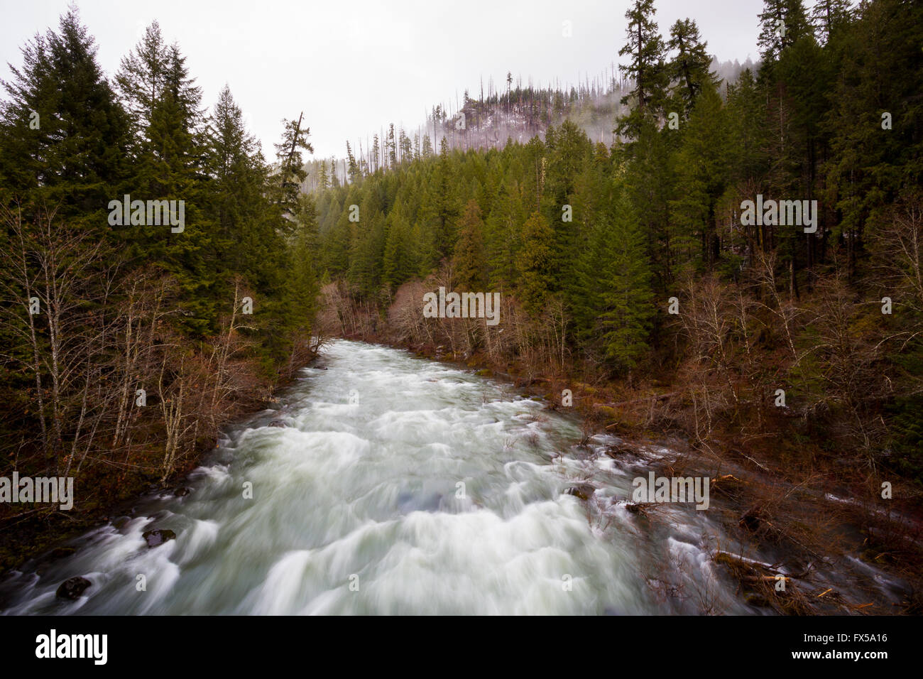 Antenne oder hohen Winkel Sicht Landschaftsfoto des Willamette River in Oregon. Stockfoto