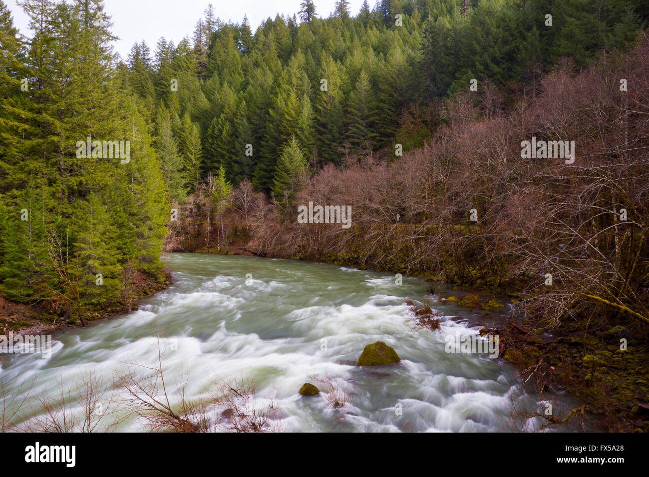 Antenne oder hohen Winkel Sicht Landschaftsfoto des Willamette River in Oregon. Stockfoto