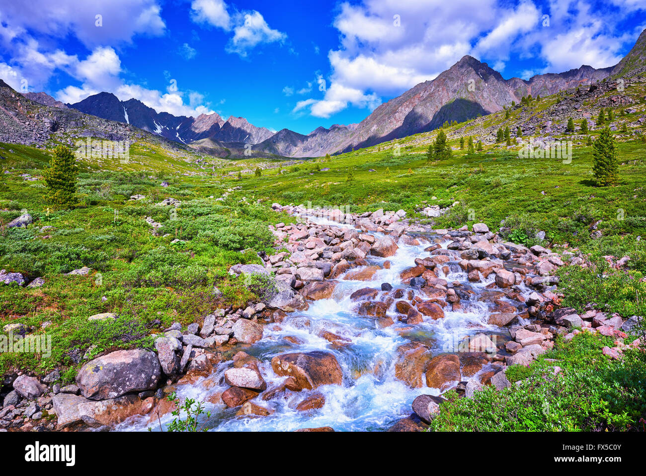 Ursprüngliche Natur Ostsibiriens. Alpine Meadows sibirischen Hochland. Burjatien. Russland Stockfoto