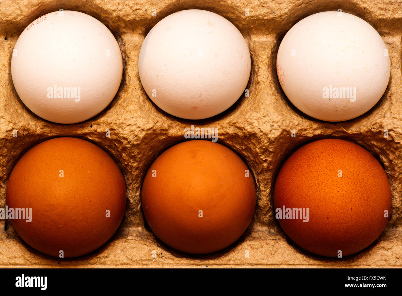 Bunte Bio Hühnereier in einem Eierkarton Stockfoto