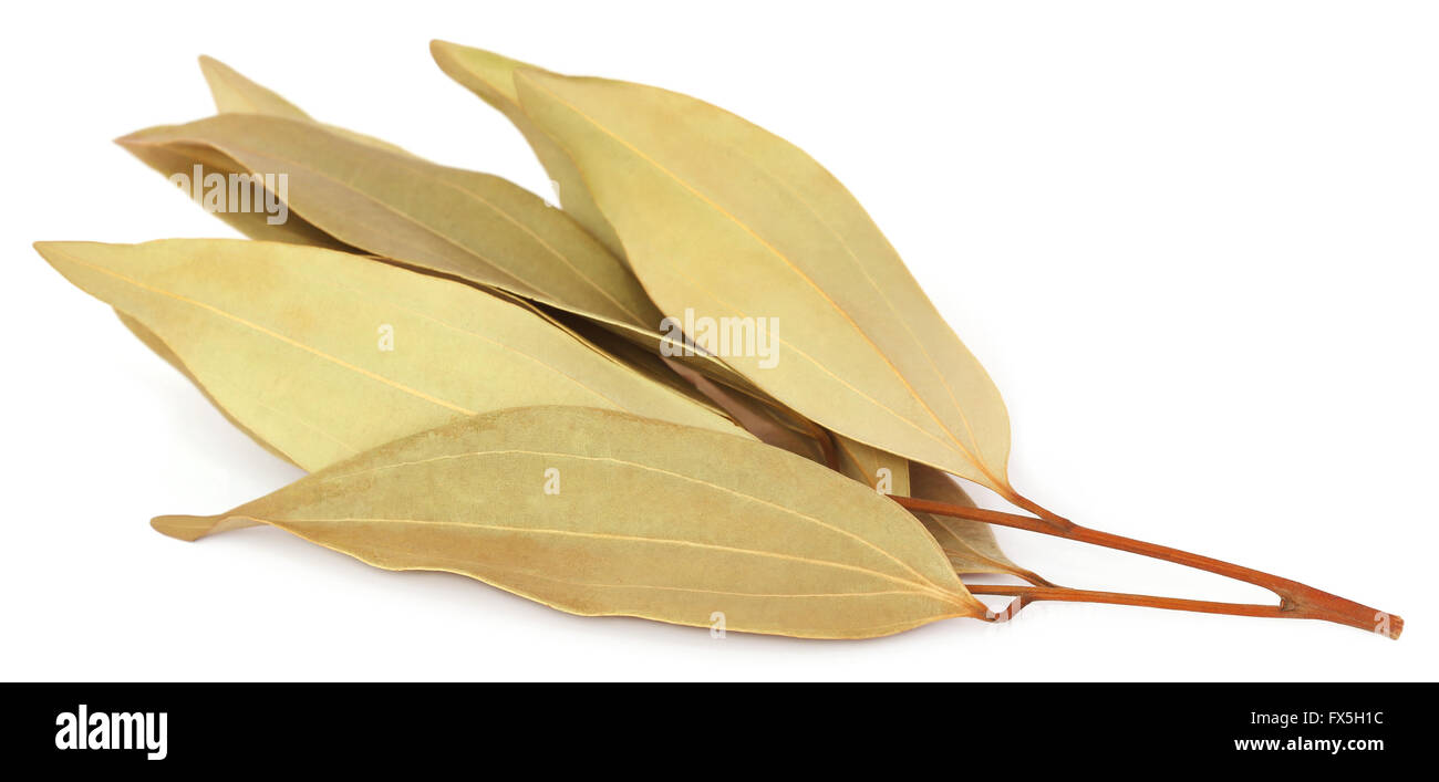 Cassia Blätter über weißem Hintergrund Stockfoto