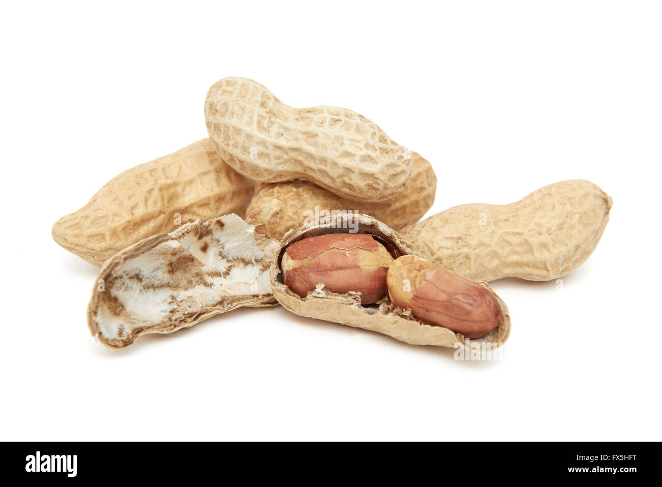 Nahaufnahme Bild von geschälten Erdnüssen auf weißem Hintergrund Stockfoto