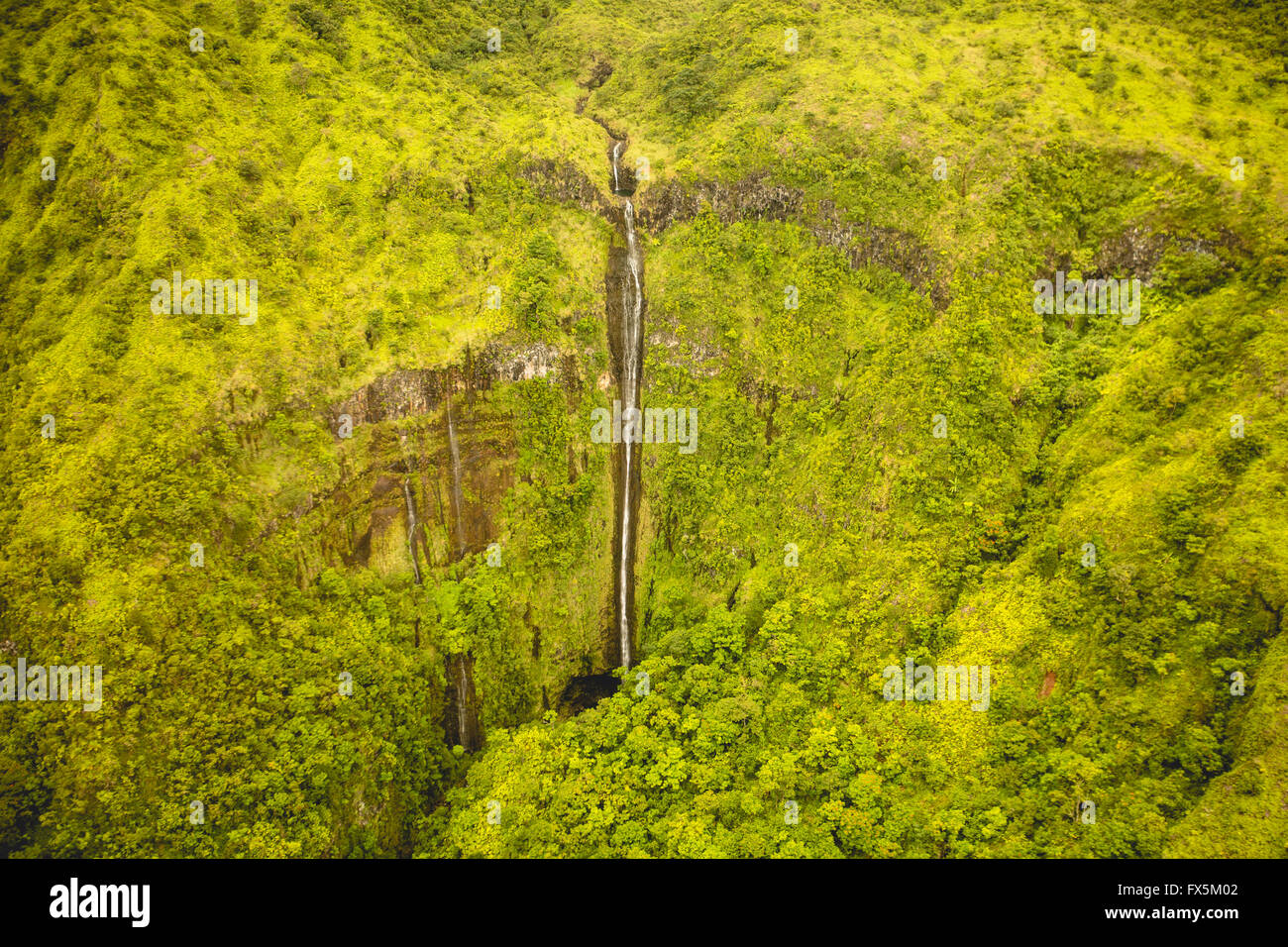 Wasserfälle, Wasserfälle, Schönheit der Natur, tropische, Natur, frisches Wasser, Regenwald, üppige Waimoku fällt, Stockfoto