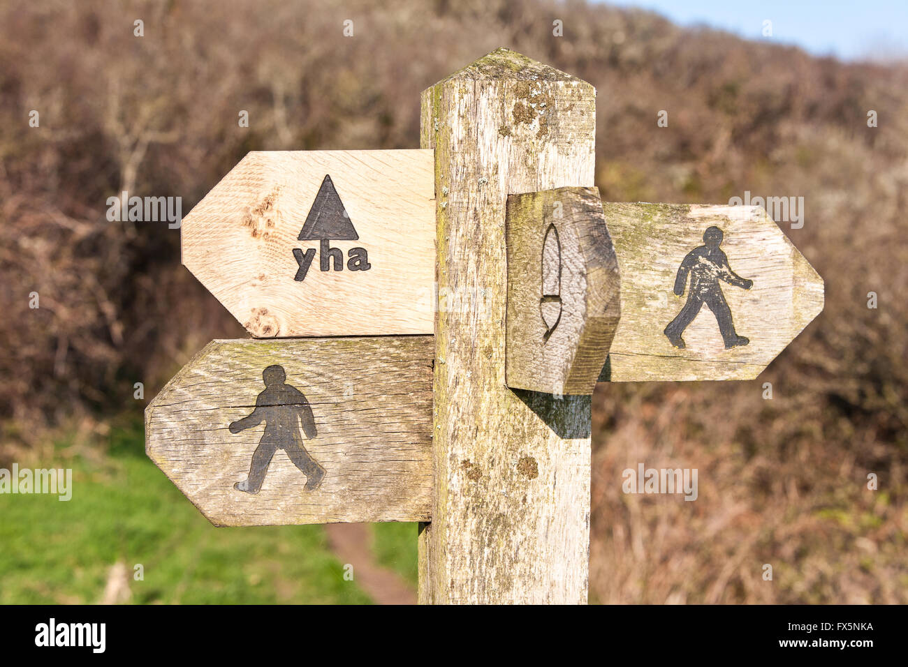Wegweiser, Finger Post zeigt Richtung Jugendherberge und Eichel-Symbol für ein National Trail entlang Pembrokeshire Coast Path in der Nähe von St Davids. Wales hat jetzt einen Küstenweg die gesamte Länge der Küste. West-Wales, Großbritannien Europa. März. Stockfoto