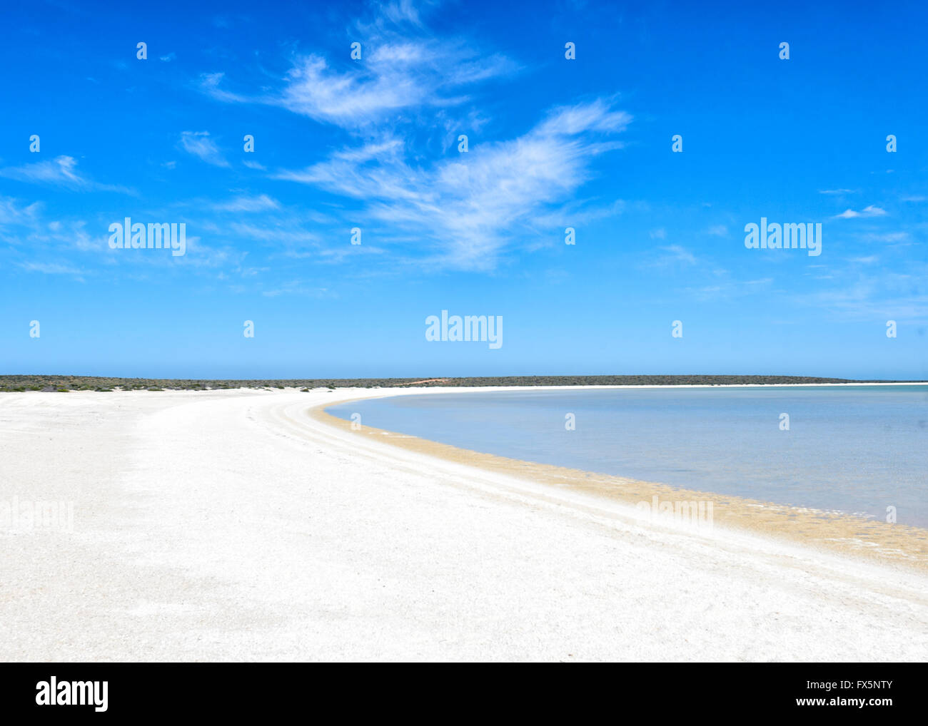 Shell Beach, Shark Bay, Westaustralien, WA, hat Herzmuschel Schalen (Coquina) erreichte eine Tiefe von 7 bis 10 Meter. Stockfoto