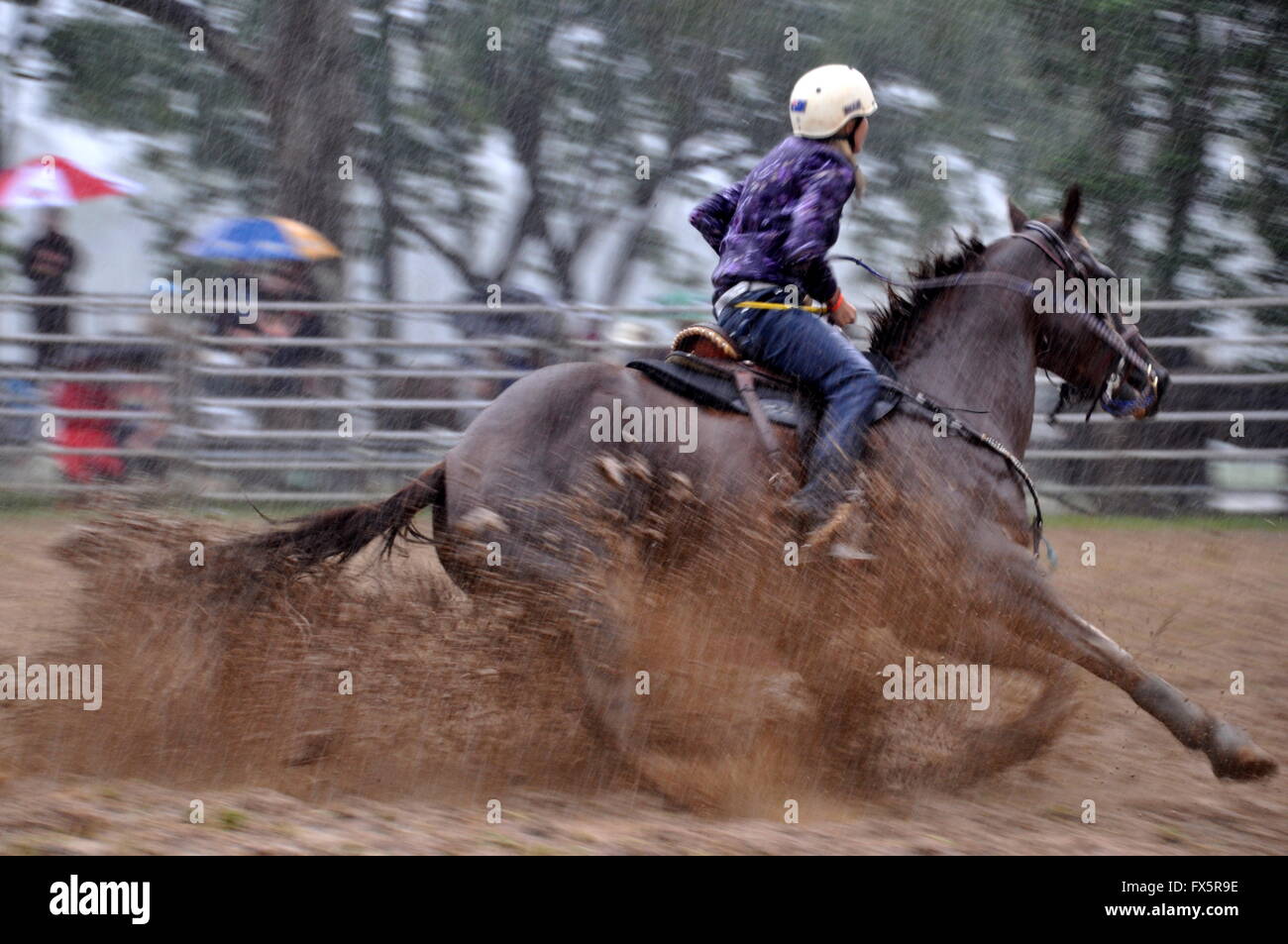 Reitsport, Barrel Racing, RODEO Stockfoto