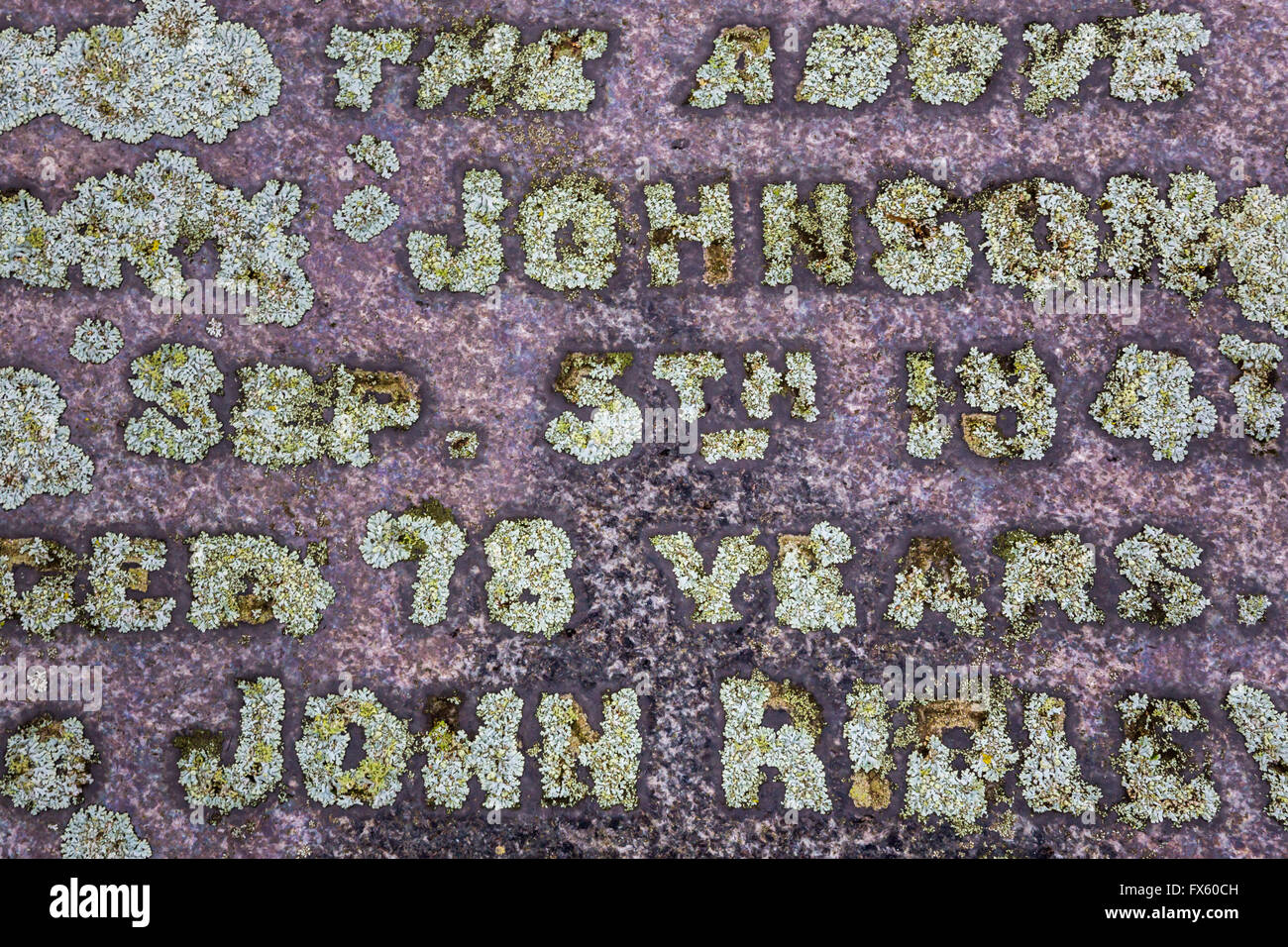 Flechten wachsen herausgreifen der Schriftzug auf einem alten Grabstein Heavenfield Kirchhof, Chollerford, Northumberland, UK Stockfoto