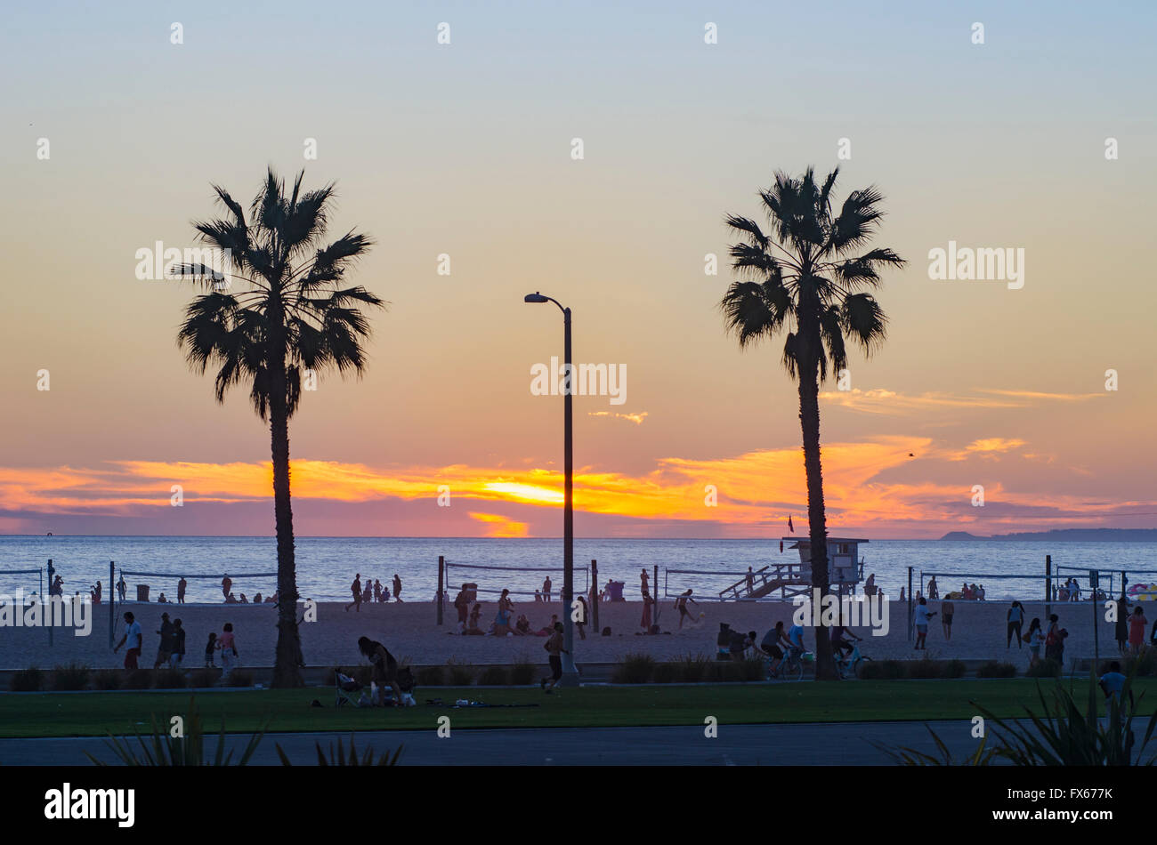 Palmen am Strand bei Sonnenuntergang, Santa Monica, California, Vereinigte Staaten von Amerika Stockfoto