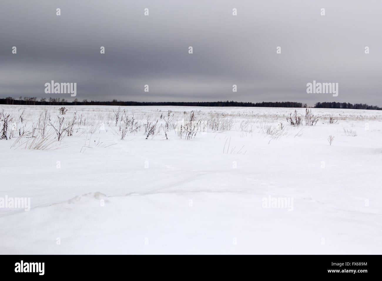 schneebedeckten Feld unter düsteren grauen Himmel Stockfoto