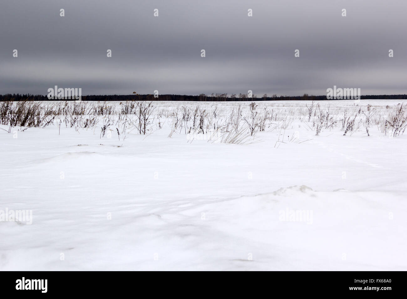 schneebedeckten Feld unter düsteren grauen Himmel Stockfoto