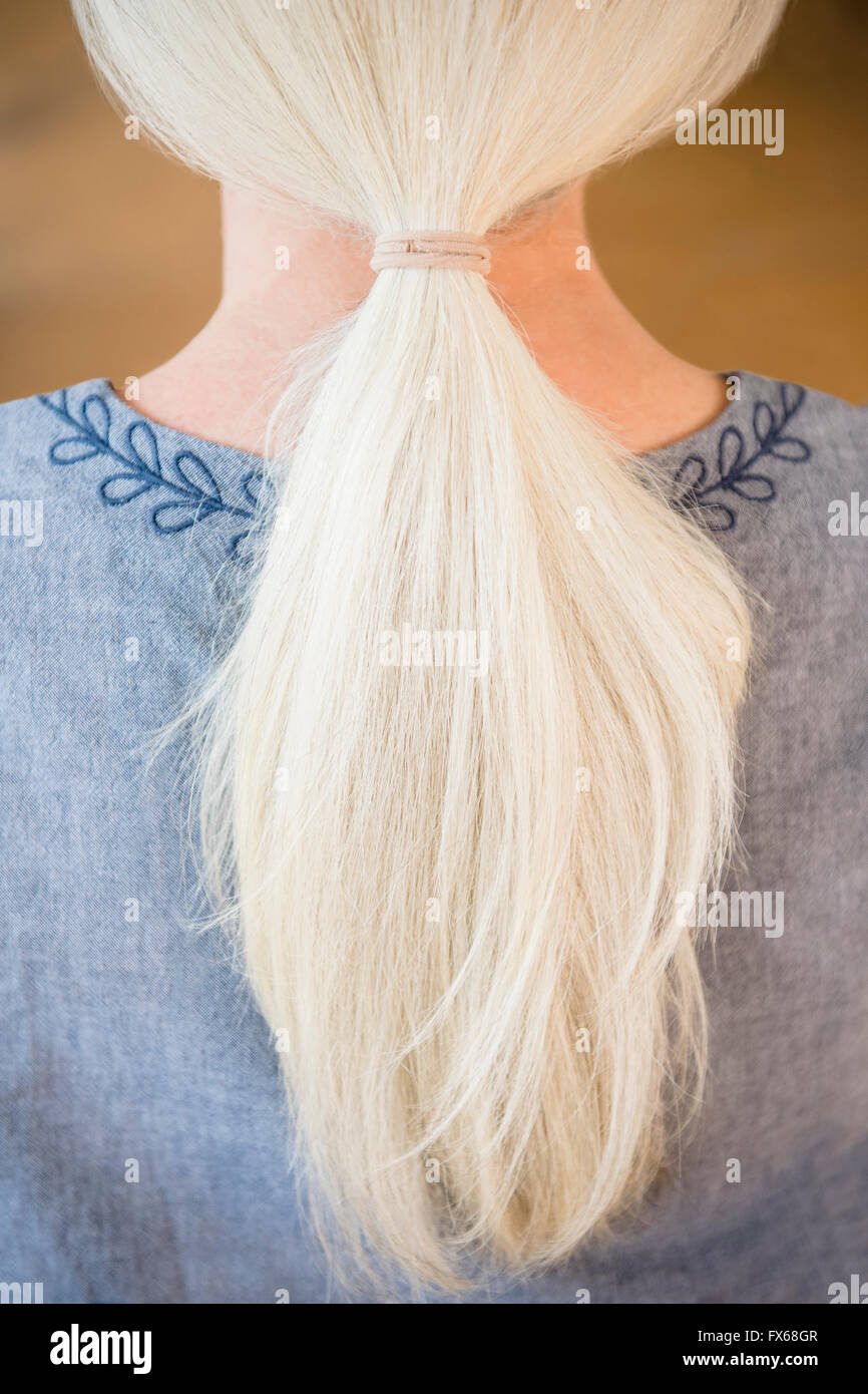 Rückansicht des Pferdeschwanz von grauen Haaren der kaukasischen Frau Stockfoto