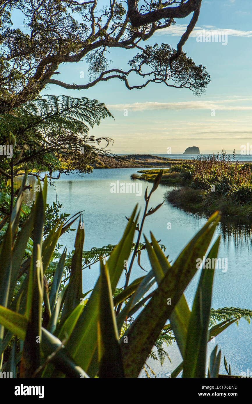 Fluss in abgelegenen Landschaft durch hohe Gräser Stockfoto