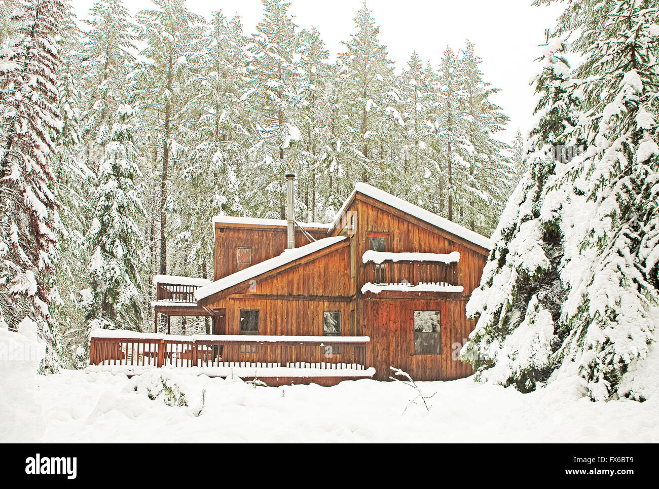 Moderne Holz-Hütte im verschneiten Wald Stockfoto