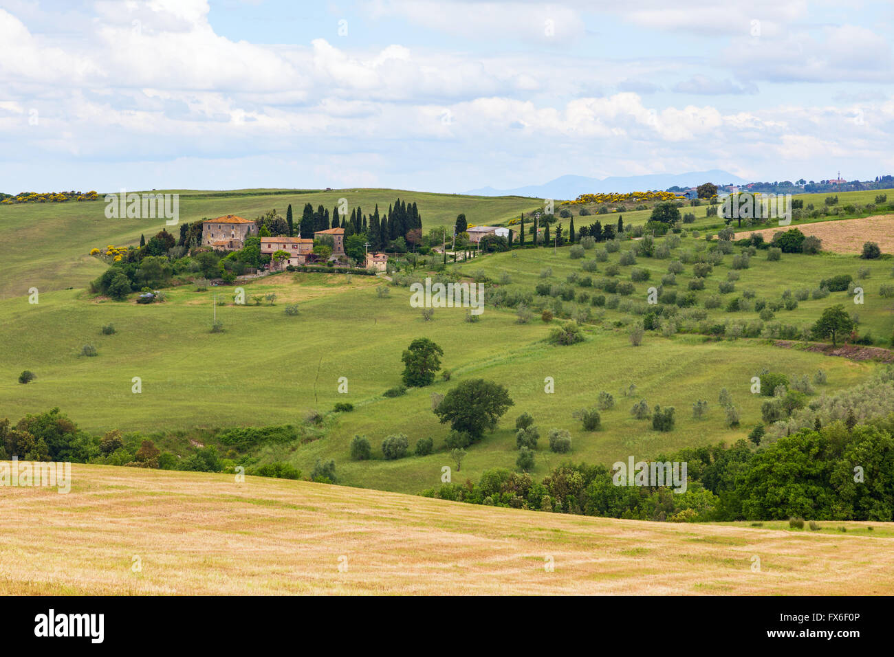 Herrliche toskanische Landschaft, Felder und Wiesen in der Nähe von Volterra in Italien Stockfoto