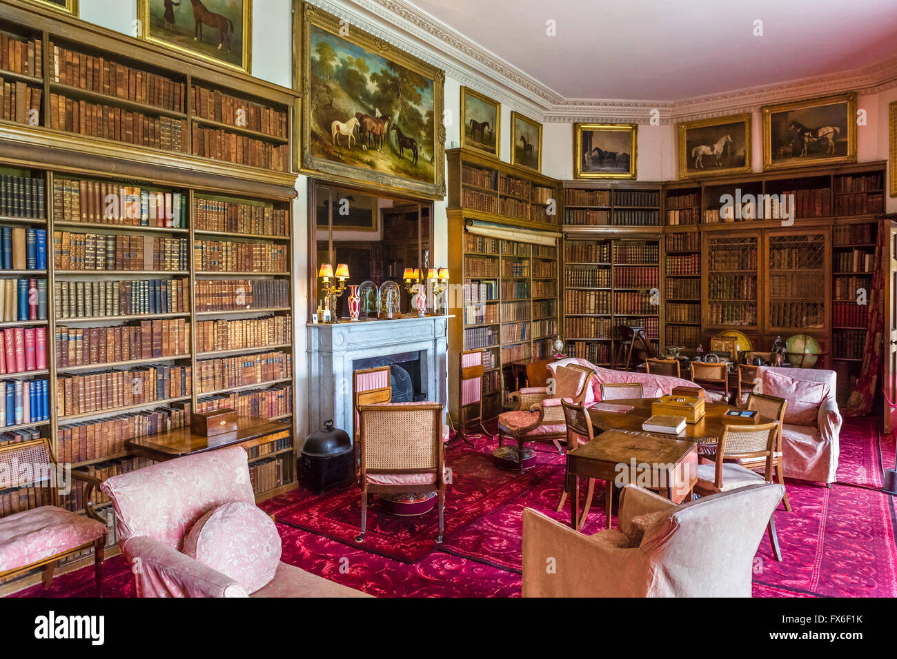 Bibliothek in Calke Abbey, einer frühen 18thC Barockschloss in der Nähe von Ticknall, Derbyshire, England, UK Stockfoto