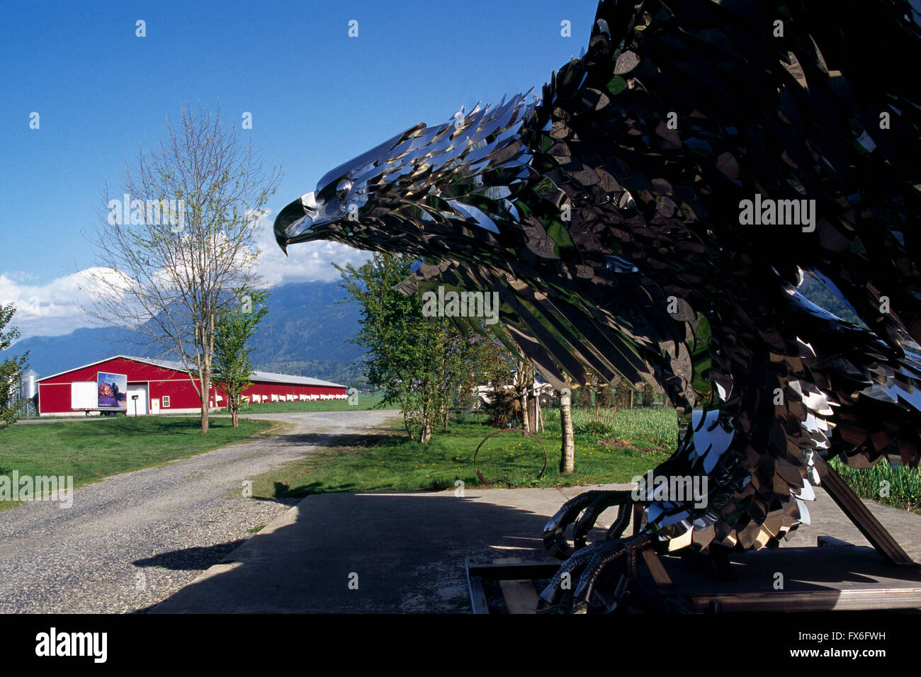 Chilliwack, BC, Britisch-Kolumbien, Kanada - Eagle Edelstahlskulptur (Kevin Stein, Metall Bildhauer) im Fraser Valley Stockfoto