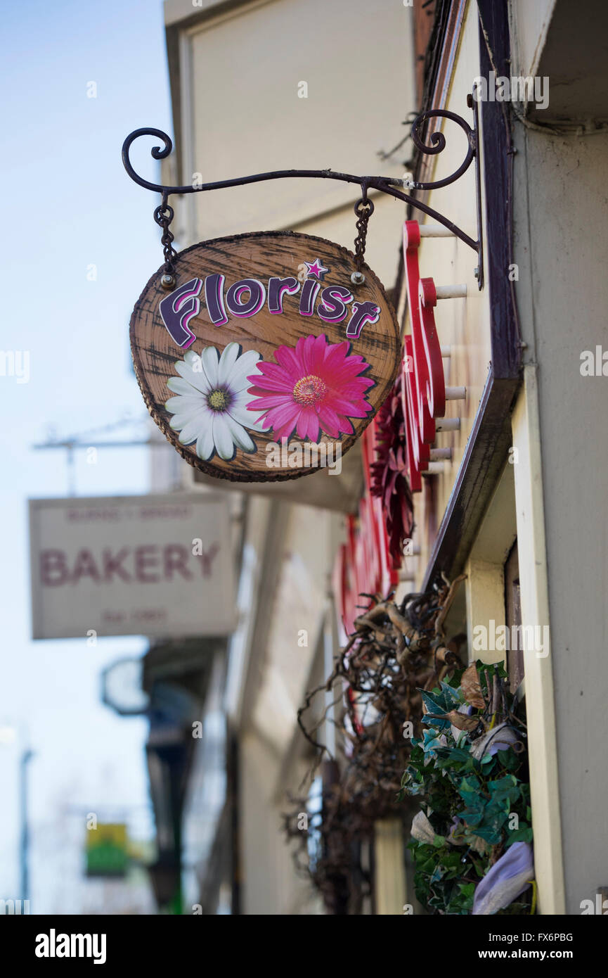 Florist Shop anmelden. Glastonbury, Somerset, England Stockfoto