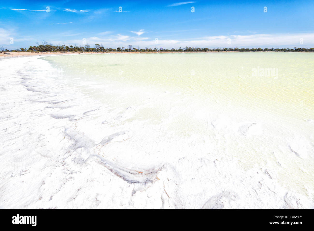 Die Gips-Basis des Sees macht es grün aussehen. See-Magie, Hyden, Westaustralien, WA, Australien Stockfoto