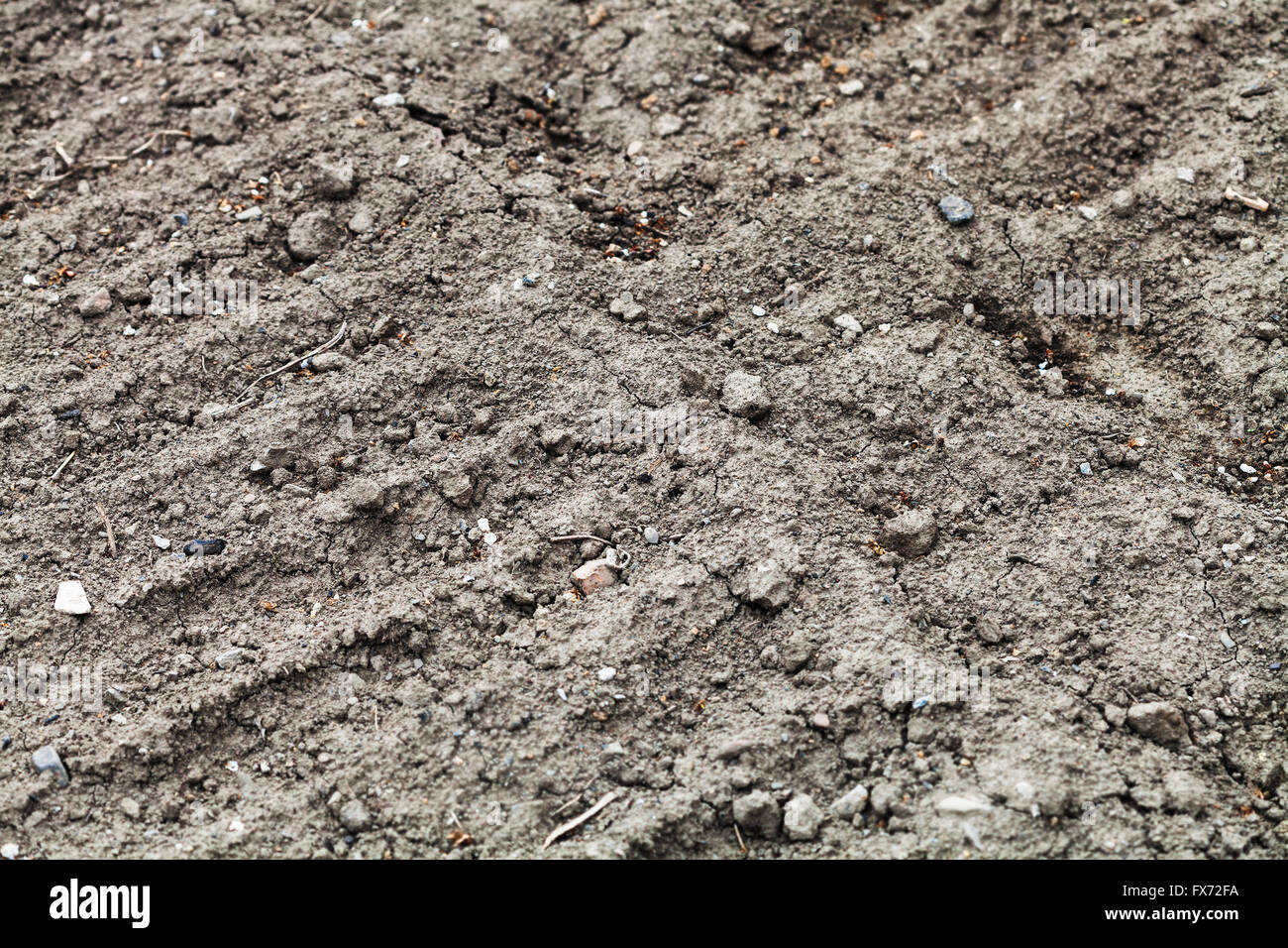 natürlichen Hintergrund - Ackerboden der Gemüsegarten Stockfoto