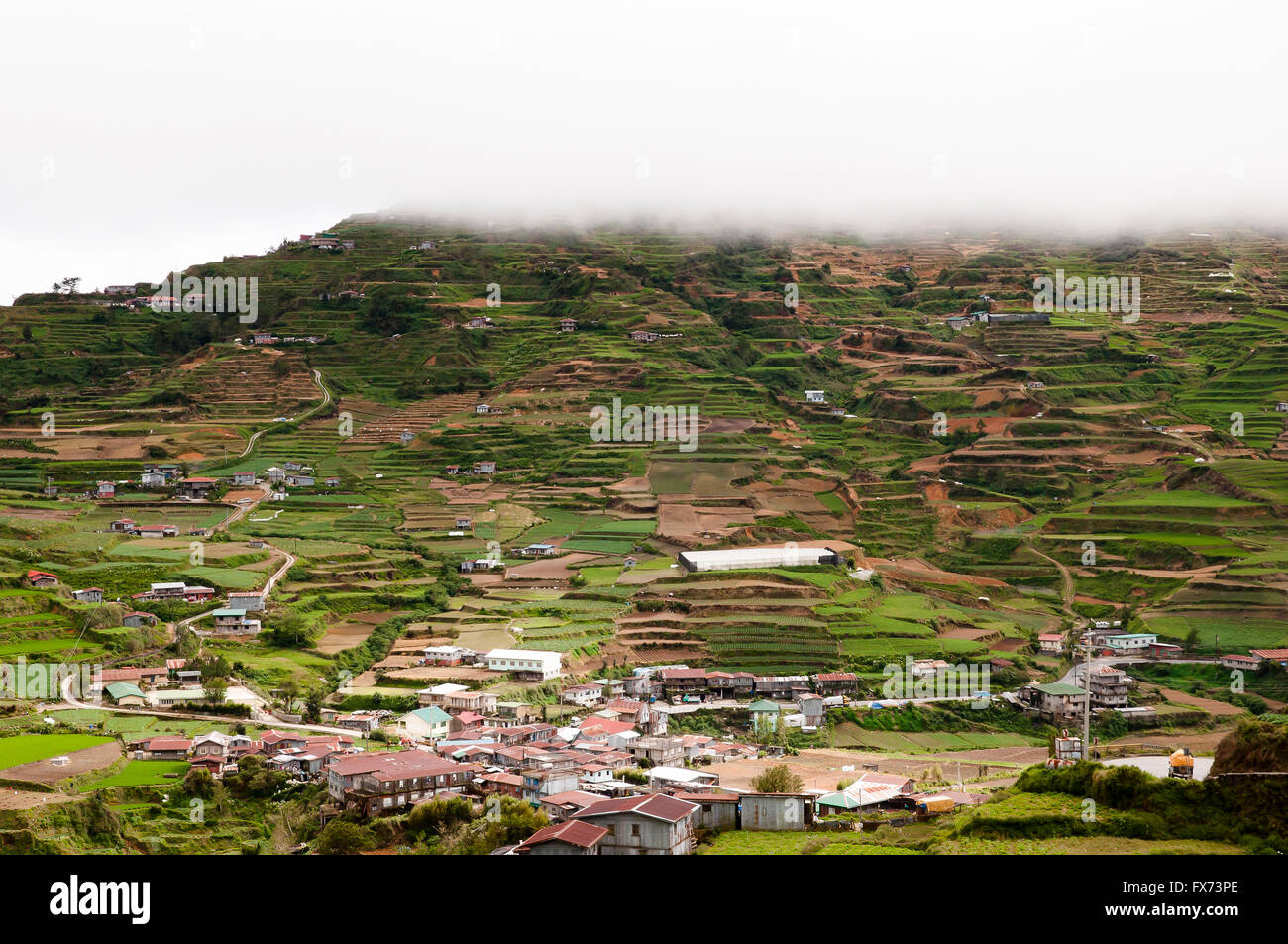 Terrasse Felder - Luzon - Philippinen Stockfoto