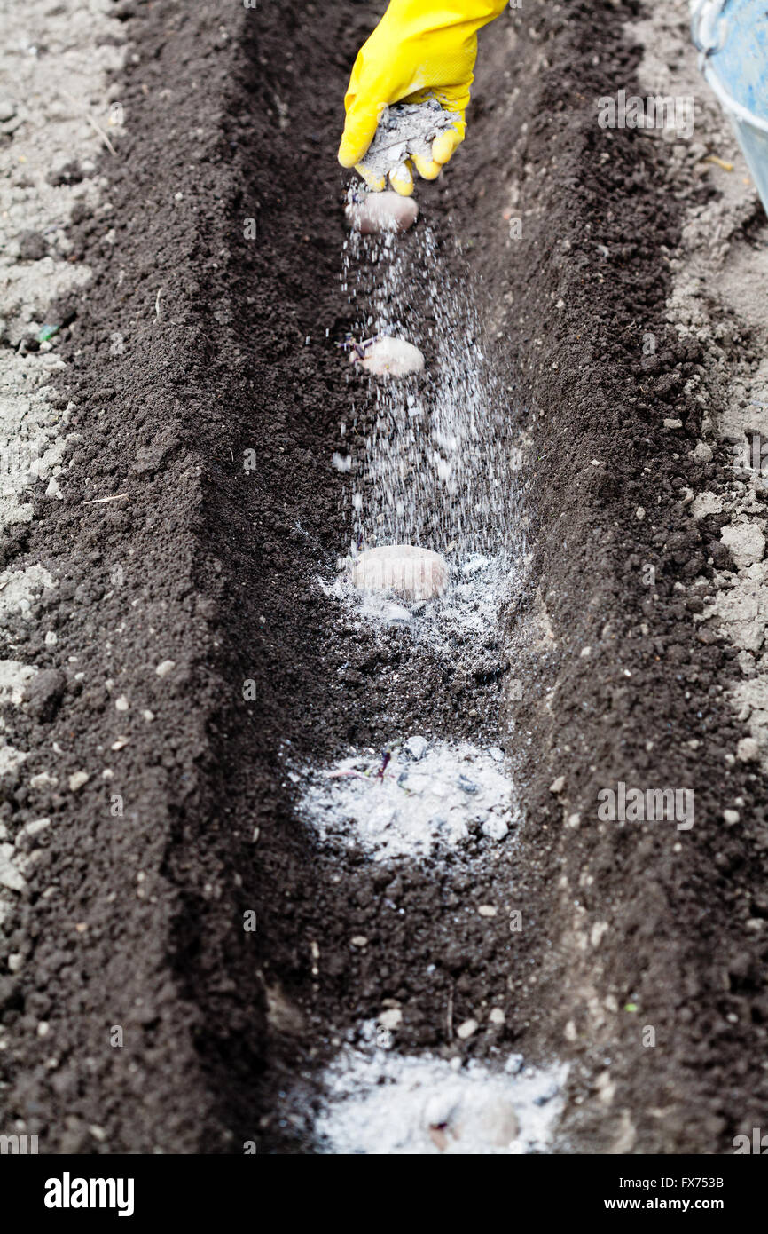 Dnger asche -Fotos und -Bildmaterial in hoher Auflsung  Alamy