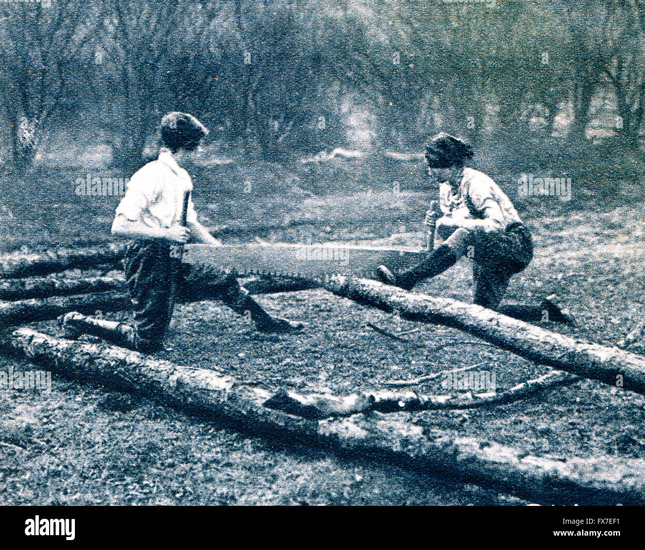 Bauholz-Frau Sägen Stützholz in der Nähe von Ludlow - Foto vom "Großen Krieg" Zeitschrift, Bd. 156, UK, ca. 1917 Stockfoto