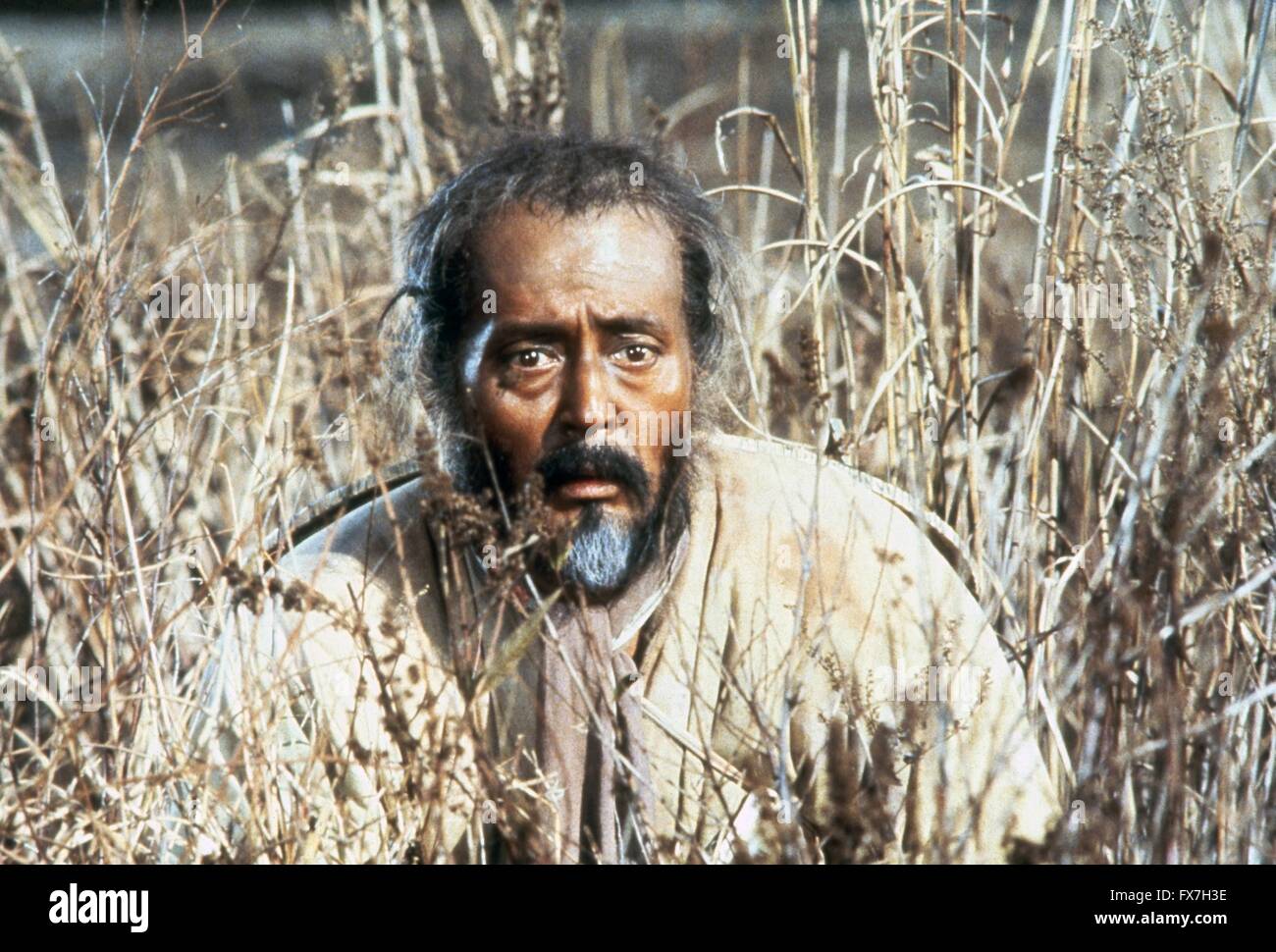 Kagemusha Jahr: 1980 Japan Regie: Akira Kurosawa Tatsuia Nakadai Goldene Palme Cannes 1980 Stockfoto