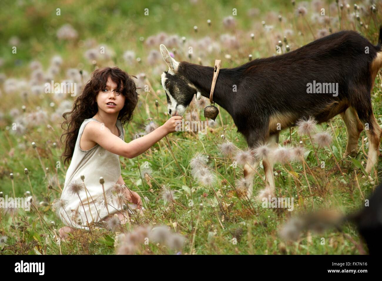 Heidi-Jahr: 2015 Deutschland / Schweiz Regie: Alain Gsponer Anuk Steffen Stockfoto