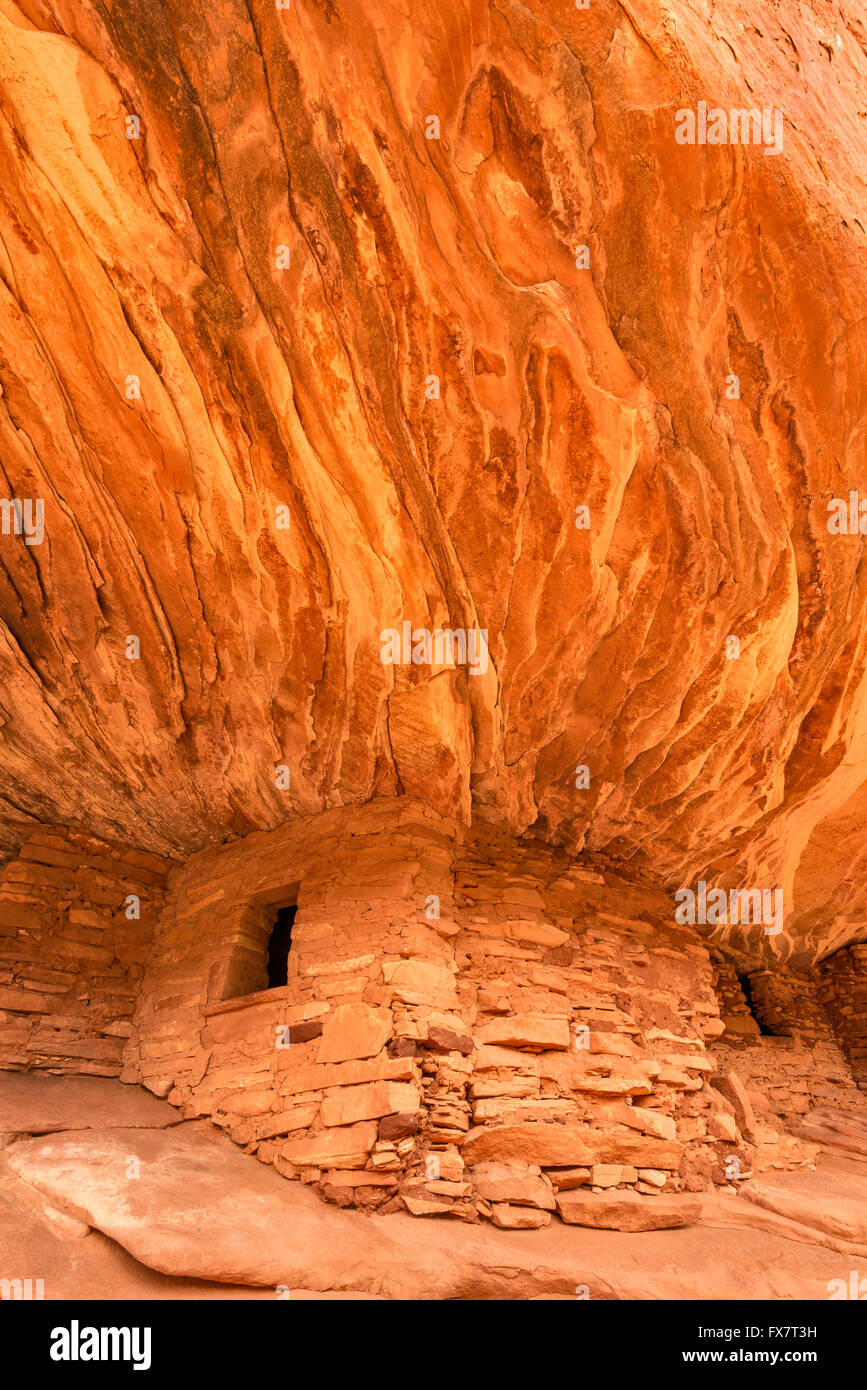 House on Fire, Puebloan Cliff Wohnung in Mule Canyon auf Cedar Mesa, Shash Jaa Einheit, Bears Ears National Monument, Utah, USA Stockfoto