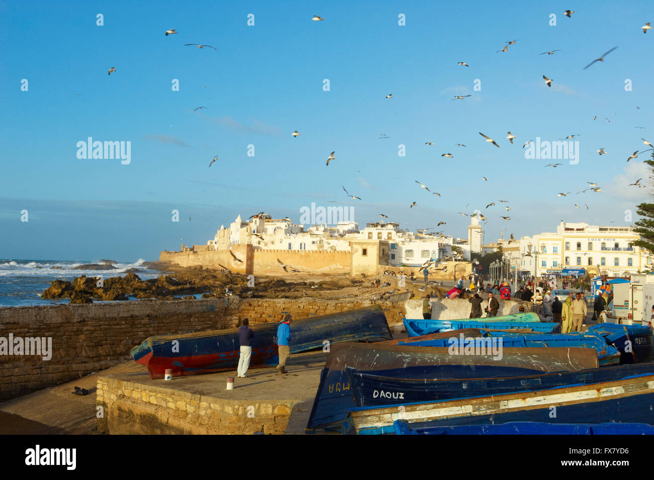 Marokko, Medina, Essaouira, Atlantikküste Stockfoto