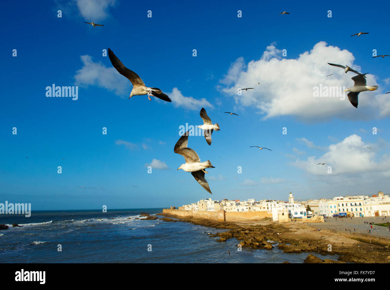 Marokko, Medina, Essaouira, Atlantikküste Stockfoto